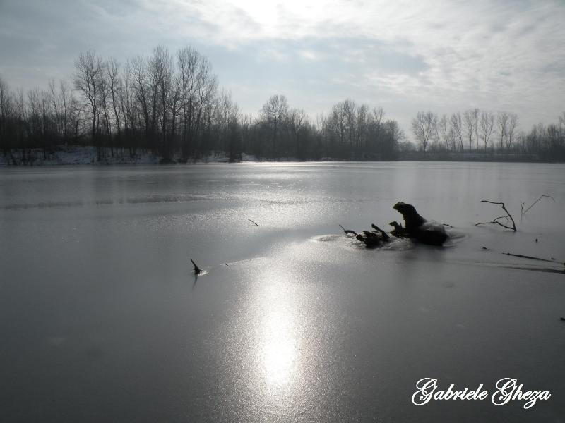 Omaggio all''Inverno che se ne va...